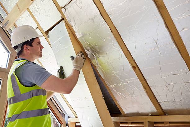 Best Specialized Insulation Services in Pleasant Hill, TX